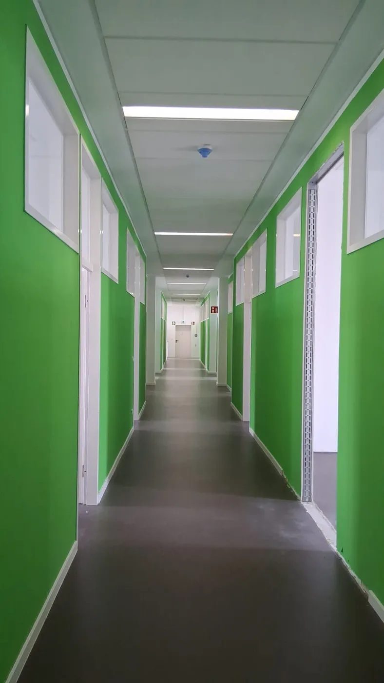 Frisch gestrichener Büroflur in kräftigem Grün